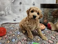 processed/c4e8f2e8-52d8-422d-a288-6cf4d1658983/listing/80f47c57-6536-4a7d-acfd-8d2264e7f4f8/c556da30-ed1f-4e76-aa7d-a0332cb60b52