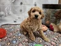 processed/c4e8f2e8-52d8-422d-a288-6cf4d1658983/listing/80f47c57-6536-4a7d-acfd-8d2264e7f4f8/ec9e22f2-2cb6-4e6a-96a8-b00c5cd75b24