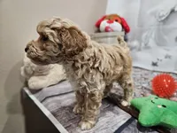 processed/c4e8f2e8-52d8-422d-a288-6cf4d1658983/listing/b11a378e-6141-4429-8f78-d6eba1b7359d/4cffbd86-79c0-47cd-abd5-fe819689c34e