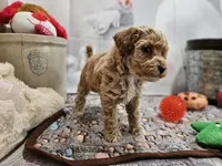 processed/c4e8f2e8-52d8-422d-a288-6cf4d1658983/listing/b11a378e-6141-4429-8f78-d6eba1b7359d/a174e244-041c-4354-8622-eaf1ddb28532