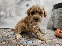 processed/c4e8f2e8-52d8-422d-a288-6cf4d1658983/listing/b11a378e-6141-4429-8f78-d6eba1b7359d/e6af7396-e973-457a-bd7d-c3e6809ce7c3