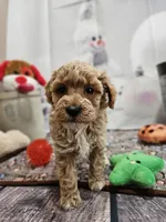 processed/c4e8f2e8-52d8-422d-a288-6cf4d1658983/listing/b11a378e-6141-4429-8f78-d6eba1b7359d/f53e7caa-9bce-4187-b5dd-9ad09ad19530