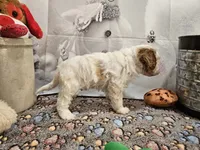 processed/c4e8f2e8-52d8-422d-a288-6cf4d1658983/listing/b7bf5bce-441c-42fb-a7a9-7c4252b624d4/58fb3bfc-5e23-45d7-9e0f-d39c1b49dd48