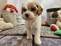 processed/c4e8f2e8-52d8-422d-a288-6cf4d1658983/listing/b7bf5bce-441c-42fb-a7a9-7c4252b624d4/b28bfa2d-70da-4346-8f0a-8dd87a3251cd