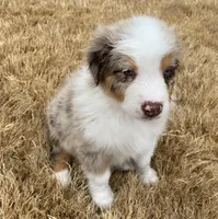 processed/c4ffc0a7-8672-4b36-84ac-ac31ac4ff908/facility/4d3fd049-c72a-47a6-bbfa-7207000a6fbf