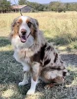 processed/c4ffc0a7-8672-4b36-84ac-ac31ac4ff908/facility/c73971b9-9ce9-4d62-a509-16b950553df9