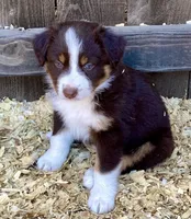 processed/c4ffc0a7-8672-4b36-84ac-ac31ac4ff908/facility/f744d6bc-d754-4930-b714-a4fd9a59ea40