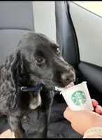 processed/c50387c3-1710-4783-8bc6-f90123cf4306/facility/a88fd4f7-3283-4eda-954b-4402a374e375