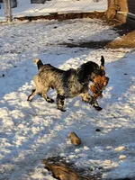 processed/c50387c3-1710-4783-8bc6-f90123cf4306/facility/b0b47ce2-6530-4201-b01b-3ba7a1f7ea3b