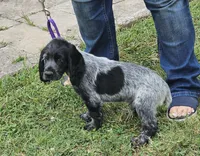 processed/c50387c3-1710-4783-8bc6-f90123cf4306/facility/c921a974-ca02-436a-b567-949af54c08da