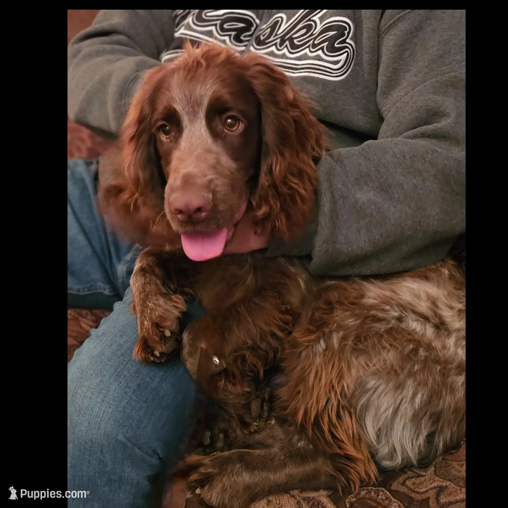 processed/c50387c3-1710-4783-8bc6-f90123cf4306/facility/ca265306-3fb3-468d-9ace-cefed7c416ba