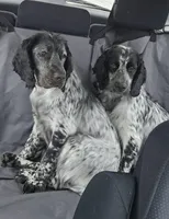 processed/c50387c3-1710-4783-8bc6-f90123cf4306/facility/cb4aea45-2196-4c50-8895-85ba283be8b6