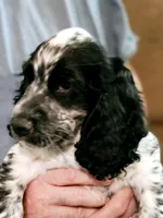 processed/c50387c3-1710-4783-8bc6-f90123cf4306/facility/d275618f-a8cd-44e1-b32a-d334f43fcb7d