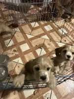 processed/c50eeefa-8fac-4717-928f-1b7dd20621ff/listing/7227a711-dd97-4b46-814a-20db427a60c6/c65f652c-3385-457c-9b67-4fc6a85cad5c