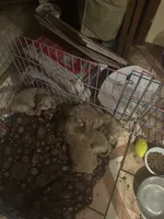 processed/c50eeefa-8fac-4717-928f-1b7dd20621ff/listing/7227a711-dd97-4b46-814a-20db427a60c6/ca190d79-8caa-4ca0-9840-525e699e4029