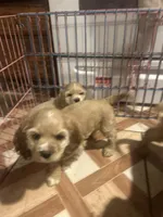 processed/c50eeefa-8fac-4717-928f-1b7dd20621ff/listing/87e7a445-a206-48be-aba2-b5a8b35b78e1/5c917295-4a70-4eb6-af7c-56d64787cede