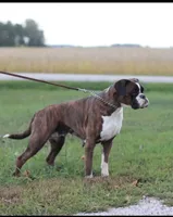 processed/c50ff0da-41b2-4052-9ea4-a3efd21b0e6a/facility/534ae87f-9986-4861-b431-f3e50f2df3ec