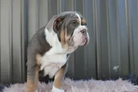 processed/c50ff0da-41b2-4052-9ea4-a3efd21b0e6a/listing/50df5d56-af7a-4c45-acdd-12f58e04aab1/14ff0607-11aa-47d9-ada0-e907af7dd96f