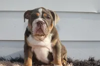 processed/c50ff0da-41b2-4052-9ea4-a3efd21b0e6a/listing/50df5d56-af7a-4c45-acdd-12f58e04aab1/17cbd140-cacd-498c-8075-2e2ef56bc376