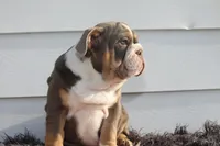 processed/c50ff0da-41b2-4052-9ea4-a3efd21b0e6a/listing/50df5d56-af7a-4c45-acdd-12f58e04aab1/6aea2c8f-5a0a-43e3-8fc5-14d3fd648220