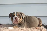 processed/c50ff0da-41b2-4052-9ea4-a3efd21b0e6a/listing/50df5d56-af7a-4c45-acdd-12f58e04aab1/79a5f32b-9254-486f-ae7d-c9a26ca3bf22