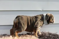 processed/c50ff0da-41b2-4052-9ea4-a3efd21b0e6a/listing/50df5d56-af7a-4c45-acdd-12f58e04aab1/a808d100-e776-4c5b-92cc-c7bbc8fc58b4