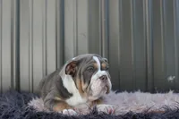 processed/c50ff0da-41b2-4052-9ea4-a3efd21b0e6a/listing/50df5d56-af7a-4c45-acdd-12f58e04aab1/abdd2930-a1ee-4d76-9a2d-3000bafe49ae