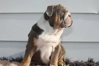 processed/c50ff0da-41b2-4052-9ea4-a3efd21b0e6a/listing/50df5d56-af7a-4c45-acdd-12f58e04aab1/bc045589-5ec8-4466-8359-ed079a4260d3