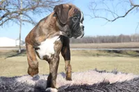 processed/c50ff0da-41b2-4052-9ea4-a3efd21b0e6a/listing/9174f74d-ab4f-4714-8c08-d84ce6500343/0716b5ad-b235-4fcd-801b-9eea0dc3fd86