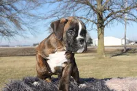 processed/c50ff0da-41b2-4052-9ea4-a3efd21b0e6a/listing/9174f74d-ab4f-4714-8c08-d84ce6500343/0c5ccc97-6139-491e-846e-85fe5367c3e8