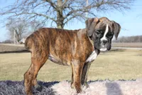 processed/c50ff0da-41b2-4052-9ea4-a3efd21b0e6a/listing/9174f74d-ab4f-4714-8c08-d84ce6500343/1c79f9fa-4087-499d-be7d-f2d0ca8896ba