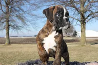 processed/c50ff0da-41b2-4052-9ea4-a3efd21b0e6a/listing/9174f74d-ab4f-4714-8c08-d84ce6500343/2d4c451a-8e6f-497f-a20d-89b928785461