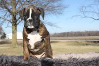 processed/c50ff0da-41b2-4052-9ea4-a3efd21b0e6a/listing/9174f74d-ab4f-4714-8c08-d84ce6500343/64180f88-226c-4c9f-ae34-922e9a7cba91