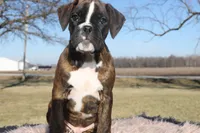 processed/c50ff0da-41b2-4052-9ea4-a3efd21b0e6a/listing/9174f74d-ab4f-4714-8c08-d84ce6500343/83e3632b-af69-490d-a643-e1dac74f7ba6