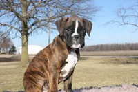 processed/c50ff0da-41b2-4052-9ea4-a3efd21b0e6a/listing/9174f74d-ab4f-4714-8c08-d84ce6500343/843f29fa-3c51-42ef-ad47-fdd56bd6d3db