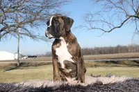 processed/c50ff0da-41b2-4052-9ea4-a3efd21b0e6a/listing/9174f74d-ab4f-4714-8c08-d84ce6500343/e949c06a-333d-454a-81e9-adc86de6d5e8