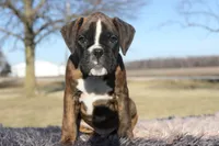 processed/c50ff0da-41b2-4052-9ea4-a3efd21b0e6a/listing/9174f74d-ab4f-4714-8c08-d84ce6500343/f573f968-b897-4a95-a390-813a2c4011f0