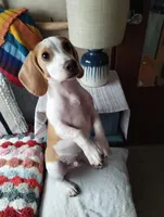 processed/c510a4a1-6837-46b0-a5f2-ed24be7e7a84/facility/2c090054-47a6-444e-95ec-6d9c8a0cd6e3