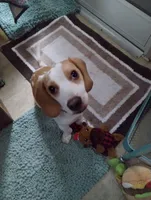 processed/c510a4a1-6837-46b0-a5f2-ed24be7e7a84/facility/42e9c0cf-33cd-4fb6-9069-d726ce9fb003