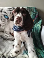 processed/c510a4a1-6837-46b0-a5f2-ed24be7e7a84/facility/64f8e474-7178-452a-89ee-74c462934254