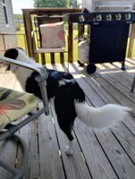 processed/c510a4a1-6837-46b0-a5f2-ed24be7e7a84/facility/7d0fda46-fe80-4ec6-b675-73aa3405a04d