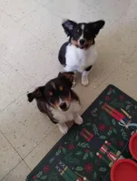 processed/c510a4a1-6837-46b0-a5f2-ed24be7e7a84/facility/ee482970-583f-4c02-bff2-b848dcfdf738