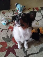 processed/c510a4a1-6837-46b0-a5f2-ed24be7e7a84/facility/f84243cf-4ff1-4412-a9f6-79fdb6df41d1