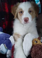 processed/c510a4a1-6837-46b0-a5f2-ed24be7e7a84/listing/fdd3b50f-02de-4029-af72-7b441010b3df/1ddd7740-01f9-4160-be52-d4a46263e0aa