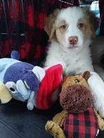 processed/c510a4a1-6837-46b0-a5f2-ed24be7e7a84/listing/fdd3b50f-02de-4029-af72-7b441010b3df/2a08e06e-d2f7-4f07-b3c5-eb9c3038dacb