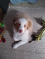 processed/c510a4a1-6837-46b0-a5f2-ed24be7e7a84/listing/fdd3b50f-02de-4029-af72-7b441010b3df/4834f188-9f0e-44fa-af78-7f5c179df8a7