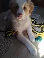 processed/c510a4a1-6837-46b0-a5f2-ed24be7e7a84/listing/fdd3b50f-02de-4029-af72-7b441010b3df/8bb1456c-093c-4e83-b0bc-7274572edc15