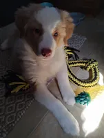 processed/c510a4a1-6837-46b0-a5f2-ed24be7e7a84/listing/fdd3b50f-02de-4029-af72-7b441010b3df/9659b879-190d-45dd-abe0-6577aed015ef