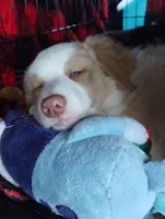 processed/c510a4a1-6837-46b0-a5f2-ed24be7e7a84/listing/fdd3b50f-02de-4029-af72-7b441010b3df/a2e378d9-d46e-4bc0-a818-3ad65450e11f