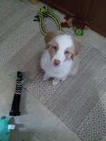 processed/c510a4a1-6837-46b0-a5f2-ed24be7e7a84/listing/fdd3b50f-02de-4029-af72-7b441010b3df/f5fc9dba-dd6f-420d-ae1c-7aaf9d985d28